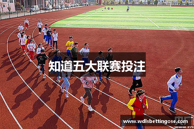 知道五大联赛投注